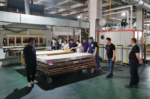 品質見證 南京戰(zhàn)略合作定制工廠一行到訪大王椰考察交流